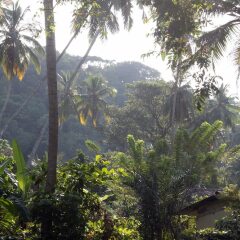 Отель Dunes Unawatuna Hotel Шри-Ланка, Унаватуна - отзывы, цены и фото номеров - забронировать отель Dunes Unawatuna Hotel онлайн