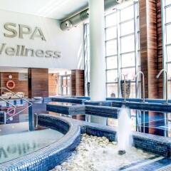 Отель Eurostars Suites Mirasierra Мадрид бассейн