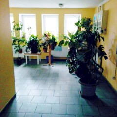 Гостиница A-Rent in Kiev спа