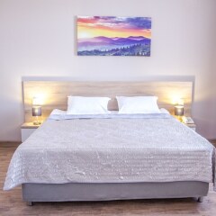 Гостиница AISHA BIBI hotel & apartments Казахстан, Нур-Султан - отзывы, цены и фото номеров - забронировать гостиницу AISHA BIBI hotel & apartments онлайн комната для гостей