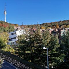 Seoul Best Stay - Hostel фото 3