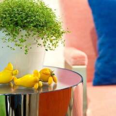 Отель Hôtel Cristal Champs Elysées Франция, Париж - отзывы, цены и фото номеров - забронировать отель Hôtel Cristal Champs Elysées онлайн балкон