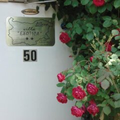 Отель Villa Exotica Балчик интерьер отеля