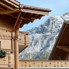 Отель Aspen Alpine Lifestyle Hotel Швейцария, Гриндельвальд - отзывы, цены и фото номеров - забронировать отель Aspen Alpine Lifestyle Hotel онлайн фото 8