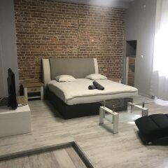 Апартаменты Studio Apartament Centrum Katowice спа фото 2