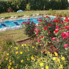 Отель Villa Pinella Прамаджоре бассейн