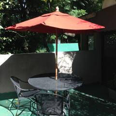 Отель Pug Seal B&B Coyoacan Мексика, Мехико - отзывы, цены и фото номеров - забронировать отель Pug Seal B&B Coyoacan онлайн с домашними животными