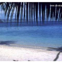 Matana Beach Resort in Kadavu Island, Fiji from 367$, photos, reviews - zenhotels.com photo 2