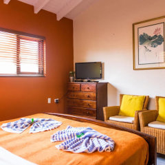 Cariñas Studio Apartments in Palm Beach, Aruba from 229$, photos, reviews - zenhotels.com room amenities