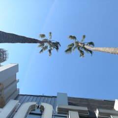 Отель Highland Gardens Hotel США, Лос-Анджелес - отзывы, цены и фото номеров - забронировать отель Highland Gardens Hotel онлайн фото 4