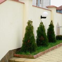 Отель Guest House Markovi Болгария, Равда - отзывы, цены и фото номеров - забронировать отель Guest House Markovi онлайн фото 3