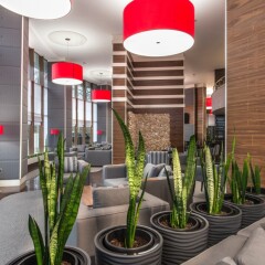 Rosslyn Dimyat Hotel Varna интерьер отеля фото 3