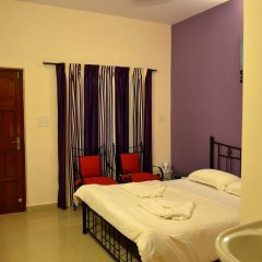 Отель Garima of Mandrem Индия, Северный Гоа - отзывы, цены и фото номеров - забронировать отель Garima of Mandrem онлайн комната для гостей