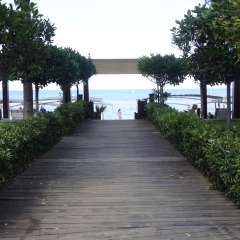 Отель Palmet Beach Resort Кемер приотельная территория