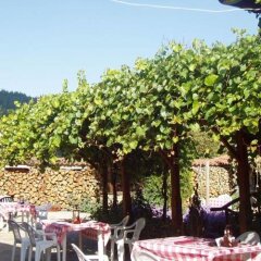 Отель Family Hotel Medven - 1 Болгария, Сливен - отзывы, цены и фото номеров - забронировать отель Family Hotel Medven - 1 онлайн помещение для мероприятий