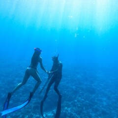 Отель Ninamu Resort - All Inclusive фото 2
