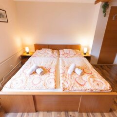 Отель Pension Lukas Guest House комната для гостей фото 5