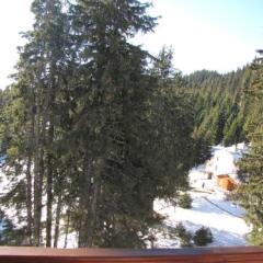 Отель Aparthotel Pine Hills Pamporovo Пампорово фото 3