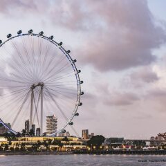 Отель Mercure Singapore Bugis Сингапур, Сингапур - 1 отзыв об отеле, цены и фото номеров - забронировать отель Mercure Singapore Bugis онлайн пляж