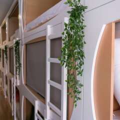 Отель The Mulberry Tree Lisbon Hostel Португалия, Лиссабон - отзывы, цены и фото номеров - забронировать отель The Mulberry Tree Lisbon Hostel онлайн интерьер отеля