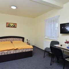 Hotel U Jezirka Либерец комната для гостей фото 2