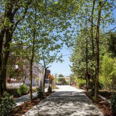 Отель Boeira Garden Hotel Porto Gaia, Curio Collection by Hilton Португалия, Вила-Нова-ди-Гая - отзывы, цены и фото номеров - забронировать отель Boeira Garden Hotel Porto Gaia, Curio Collection by Hilton онлайн фото 12