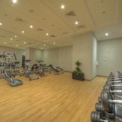Отель Raintree Rolla Hotel ОАЭ, Дубай - 1 отзыв об отеле, цены и фото номеров - забронировать отель Raintree Rolla Hotel онлайн фитнесс-зал фото 3