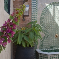 Отель Riad Dar Guennoun Марокко, Фес - отзывы, цены и фото номеров - забронировать отель Riad Dar Guennoun онлайн фото 3
