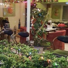 Отель Westerly Hill Guesthouse гостиничный бар