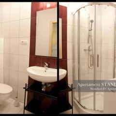 Отель Apartament Polar Польша, Познань - отзывы, цены и фото номеров - забронировать отель Apartament Polar онлайн ванная