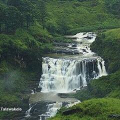 Отель Heaven Seven Nuwara Eliya Шри-Ланка, Нувара-Элия - отзывы, цены и фото номеров - забронировать отель Heaven Seven Nuwara Eliya онлайн фото 2
