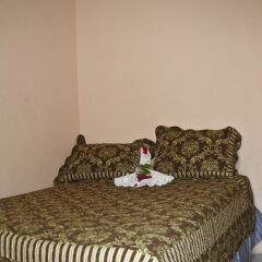 Отель Executive Shaw Park Guest House комната для гостей