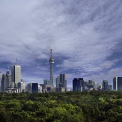 Отель The Westin Prince Toronto Канада, Торонто - отзывы, цены и фото номеров - забронировать отель The Westin Prince Toronto онлайн фото 4