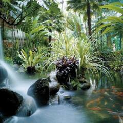 Shangri-La Hotel Singapore фото 9
