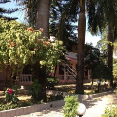 Отель Sauraha Boutique Resort Непал, Саураха - отзывы, цены и фото номеров - забронировать отель Sauraha Boutique Resort онлайн фото 6