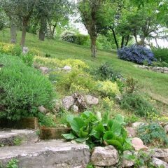Отель B&B Il Suono del Bosco Италия, Лимена - отзывы, цены и фото номеров - забронировать отель B&B Il Suono del Bosco онлайн фото 8
