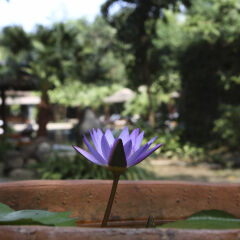 Отель Pilgrimage Village Hue спа