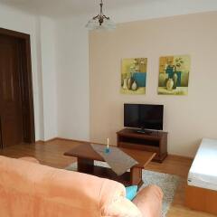 Отель Villa Sofia Apartments Чехия, Карловы Вары - отзывы, цены и фото номеров - забронировать отель Villa Sofia Apartments онлайн комната для гостей фото 2