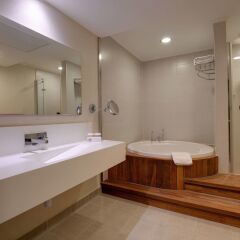 Baia Bursa Hotel Турция, Бурса - отзывы, цены и фото номеров - забронировать отель Baia Bursa Hotel онлайн ванная