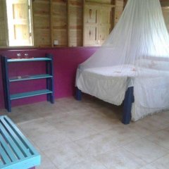 Roots Jungle Retreat in Massacre, Dominica from 180$, photos, reviews - zenhotels.com guestroom photo 5