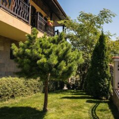Отель Chiflika Family Hotel Болгария, Асеновград - отзывы, цены и фото номеров - забронировать отель Chiflika Family Hotel онлайн фото 2