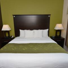 Отель Comfort Suites Lake City Лейк-Сити комната для гостей фото 3