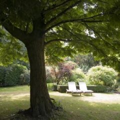 Отель B&B Côté Jardin Бельгия, Брюссель - отзывы, цены и фото номеров - забронировать отель B&B Côté Jardin онлайн фото 2