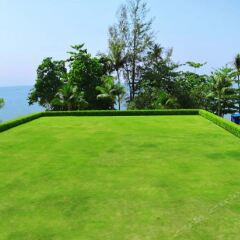 Отель Hyatt Regency Phuket Resort Таиланд, Камала Бич - 1 отзыв об отеле, цены и фото номеров - забронировать отель Hyatt Regency Phuket Resort онлайн спортивное сооружение