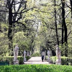 Гостиница Реверанс в Санкт-Петербурге отзывы, цены и фото номеров - забронировать гостиницу Реверанс онлайн Санкт-Петербург помещение для мероприятий фото 2