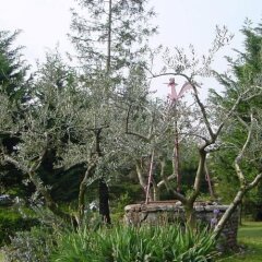 Отель Agriturismo Radamez Монцамбано фото 2