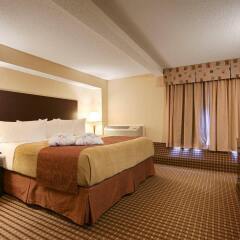 Отель Best Western Plus Ottawa/Kanata Hotel and Conference Centre Канада, Оттава - отзывы, цены и фото номеров - забронировать отель Best Western Plus Ottawa/Kanata Hotel and Conference Centre онлайн удобства в номере фото 2