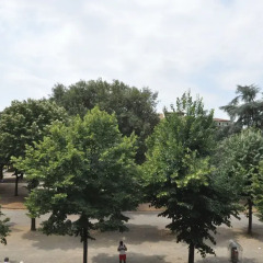 Отель Comfortable 3BD Apt 7min Walk to The Train Station Италия, Флоренция - отзывы, цены и фото номеров - забронировать отель Comfortable 3BD Apt 7min Walk to The Train Station онлайн