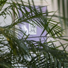 Отель Hôtel Suisse балкон фото 5