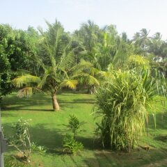 Raja Beach Hotel фото 25